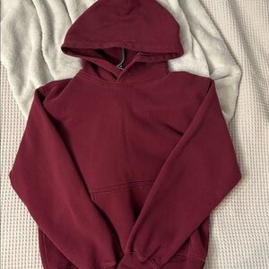 Aritzia Hoodie